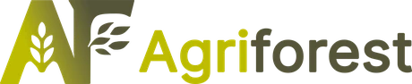 Agriforest, retour à l'accueil
